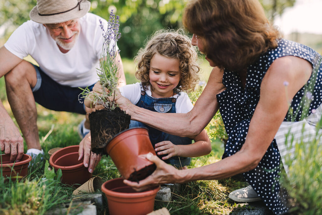 Estate Planning
